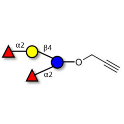 2',2-Difucosyllactose with terminal alkyne (Linker-CΞCH B)