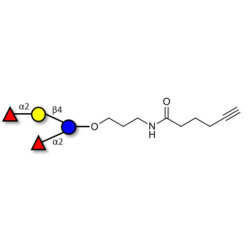 2',2-Difucosyllactose with terminal alkyne (Linker-CΞCH C)