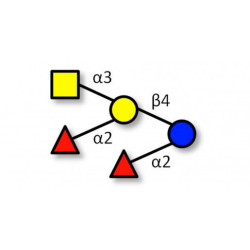 Fucosyl A antigen pentaose type 6 (>90% NMR)