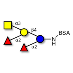 Fucosyl A antigen pentaose type 6 grafted on BSA