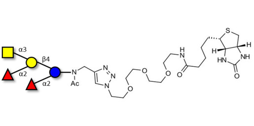 Fucosyl A antigen pentaose type 6 linked to biotin (Linker-BT A)