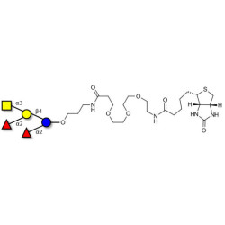 Fucosyl A antigen pentaose type 6 linked to biotin (Linker-BT C)