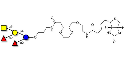 Fucosyl A antigen pentaose type 6 linked to biotin (Linker-BT C)