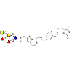 Fucosyl A antigen pentaose type 6 linked to desthiobiotin (Linker-DBT-A)