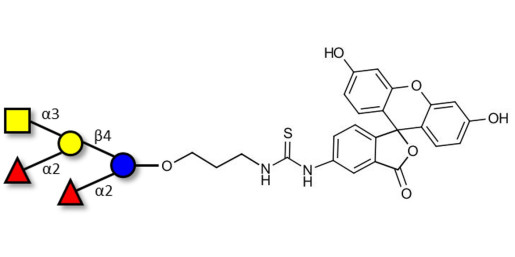 Fucosyl A antigen pentaose type 6 linked to fluorescein (Linker-FLUO A)