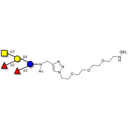 Fucosyl A antigen pentaose type 6 grafted on gel for affinity chromatography (Linker-GEL A)