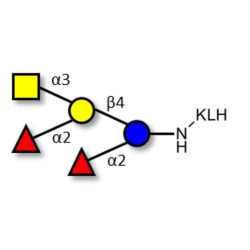 Fucosyl A antigen pentaose type 6 grafted on KLH