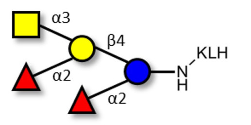 Fucosyl A antigen pentaose type 6 grafted on KLH