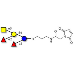 Fucosyl A antigen pentaose type 6 linked to maleimide (Linker-MAL A)