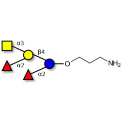 Fucosyl A antigen pentaose type 6 with free terminal amine (Linker-NH2 A)