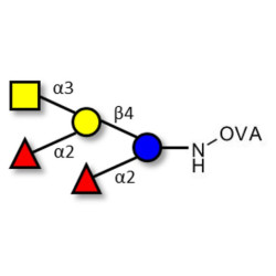 Fucosyl A antigen pentaose type 6 grafted on OVA