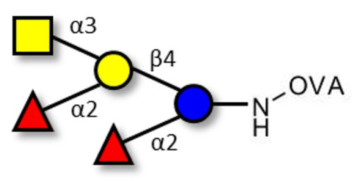 Fucosyl A antigen pentaose type 6 grafted on OVA