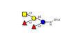 Fucosyl A antigen pentaose type 6 grafted on OVA