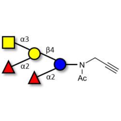 Fucosyl A antigen pentaose type 6 with terminal alkyne (Linker-CΞCH A)