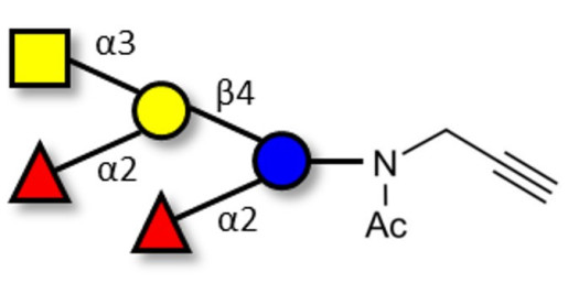 Fucosyl A antigen pentaose type 6 with terminal alkyne (Linker-CΞCH A)