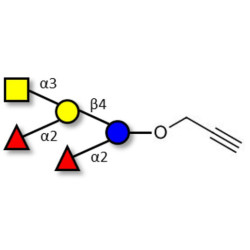 Fucosyl A antigen pentaose type 6 with terminal alkyne (Linker-CΞCH B)