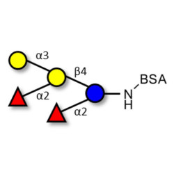 Fucosyl B antigen pentaose type 6 grafted on BSA