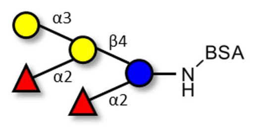 Fucosyl B antigen pentaose type 6 grafted on BSA