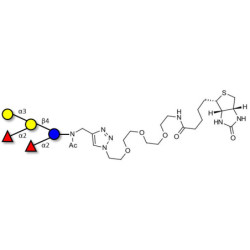 Fucosyl B antigen pentaose type 6 linked to biotin (Linker-BT A)