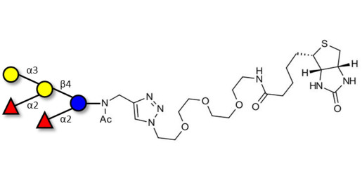 Fucosyl B antigen pentaose type 6 linked to biotin (Linker-BT A)