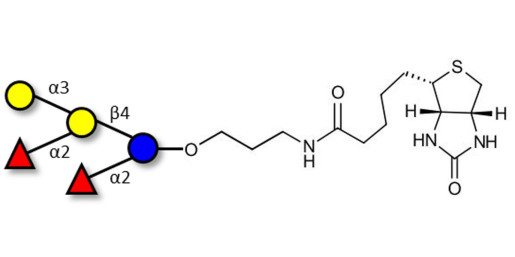 Fucosyl B antigen pentaose type 6 linked to biotin (Linker-BT B)