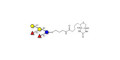 Fucosyl B antigen pentaose type 6 linked to biotin (Linker-BT B)