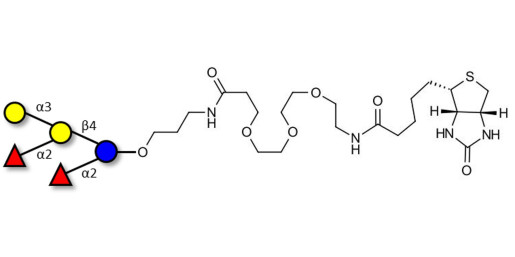 Fucosyl B antigen pentaose type 6 linked to biotin (Linker-BT C)