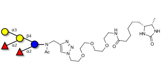 Fucosyl B antigen pentaose type 6 linked to desthiobiotin (Linker-DBT-A)