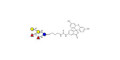 Fucosyl B antigen pentaose type 6 linked to fluorescein (Linker-FLUO A)
