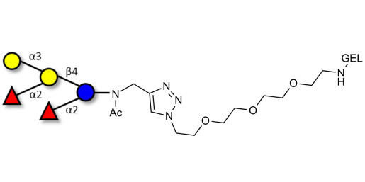 Fucosyl B antigen pentaose type 6 grafted on gel for affinity chromatography (Linker-GEL A)