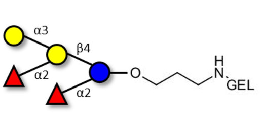 Fucosyl B antigen pentaose type 6 grafted on gel for affinity chromatography (Linker-GEL B)