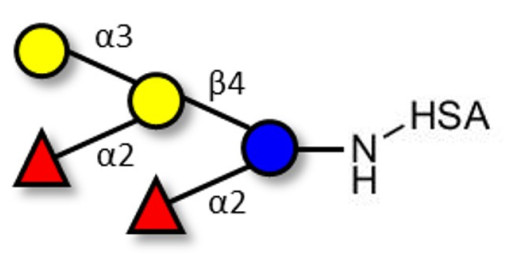 Fucosyl B antigen pentaose type 6 grafted on HSA