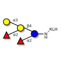 Fucosyl B antigen pentaose type 6 grafted on KLH