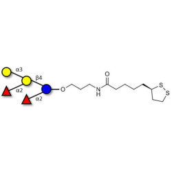 Fucosyl B antigen pentaose type 6 with cyclic di-thiol (Linker-LIPO A)