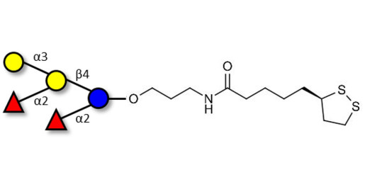 Fucosyl B antigen pentaose type 6 with cyclic di-thiol (Linker-LIPO A)