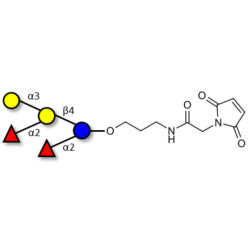 Fucosyl B antigen pentaose type 6 linked to maleimide (Linker-MAL A)