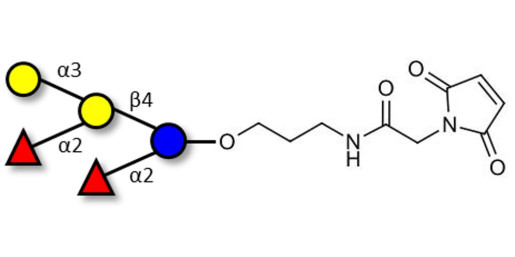 Fucosyl B antigen pentaose type 6 linked to maleimide (Linker-MAL A)
