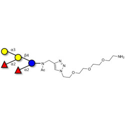 Fucosyl B antigen pentaose type 6 with free terminal amine (Linker-NH2 B)