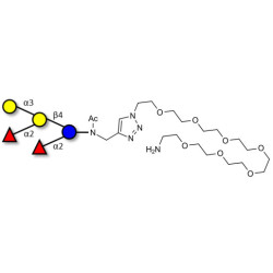 Fucosyl B antigen pentaose type 6 with free terminal amine (Linker-NH2 C)