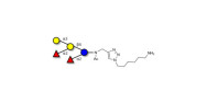 Fucosyl B antigen pentaose...