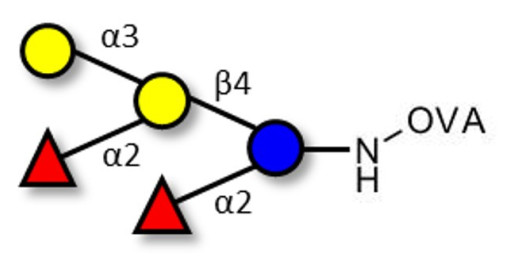 Fucosyl B antigen pentaose type 6 grafted on OVA