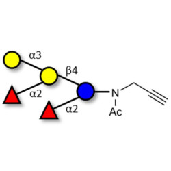 Fucosyl B antigen pentaose type 6 with terminal alkyne (Linker-CΞCH A)