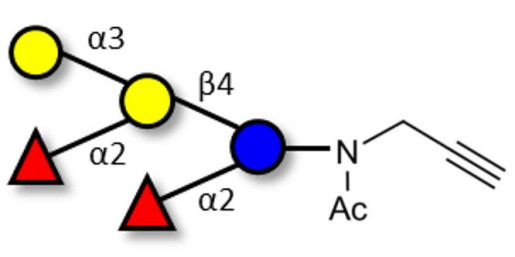 Fucosyl B antigen pentaose type 6 with terminal alkyne (Linker-CΞCH A)