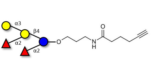 Fucosyl B antigen pentaose type 6 with terminal alkyne (Linker-CΞCH C)