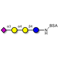 Sialylated globotriose grafted on BSA