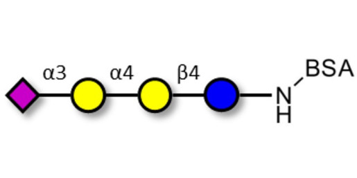 Sialylated globotriose grafted on BSA - 3Sialyl-Gb3