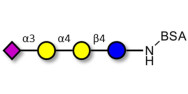 Sialylated globotriose...
