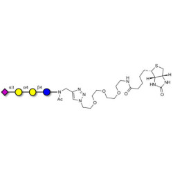 Sialylated globotriose linked to biotin (Linker-BT A)