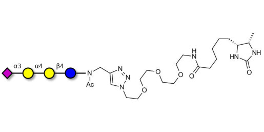 Sialylated globotriose linked to desthiobiotin (Linker-DBT-A) - 3Sialyl-Gb3