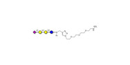 Sialylated globotriose...